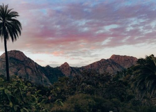 Mt. Abu