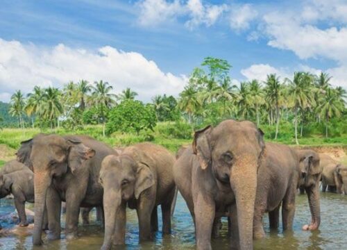 Kerala